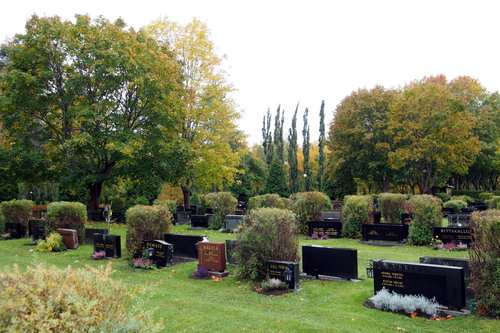 Hautausmaa aluetta jossa monta hautaa ja puita